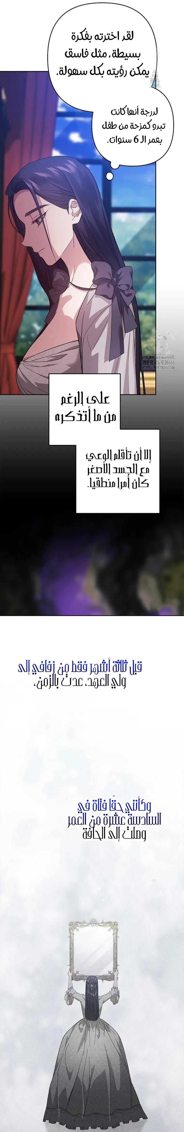الصفحة 13