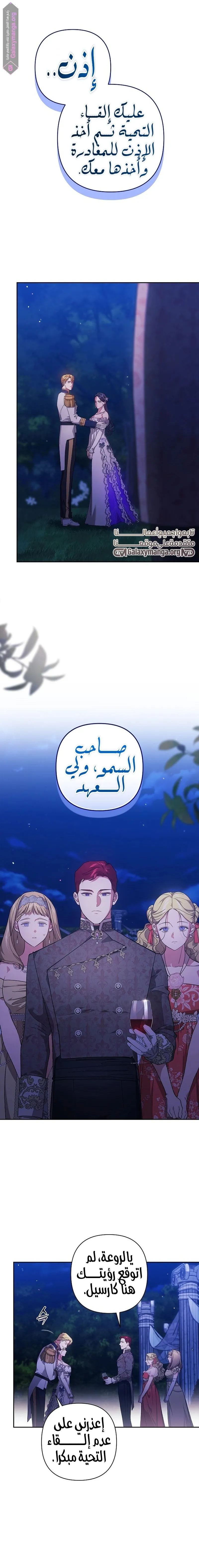 الصفحة 17