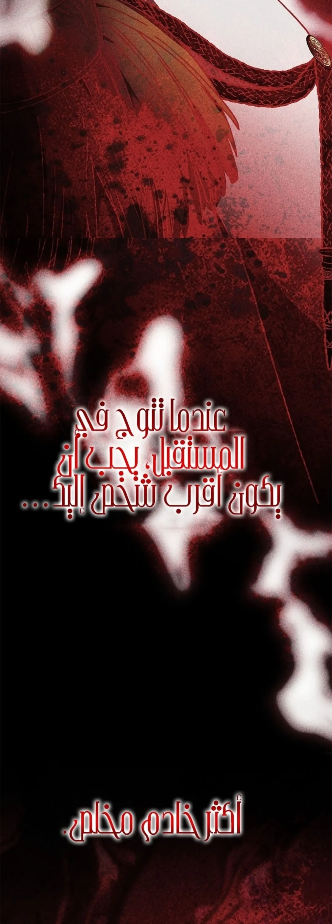 الصفحة 24