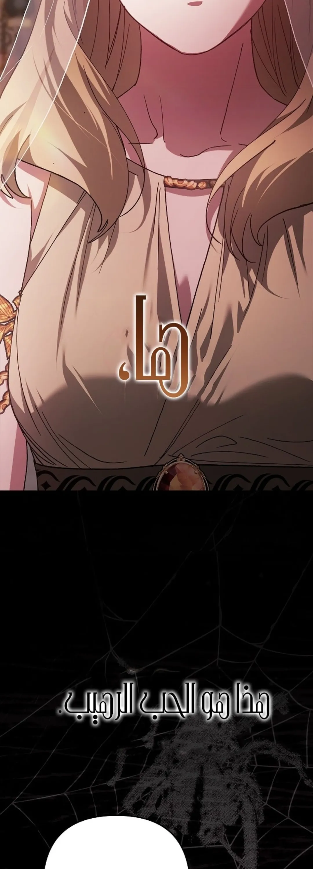 الصفحة 41