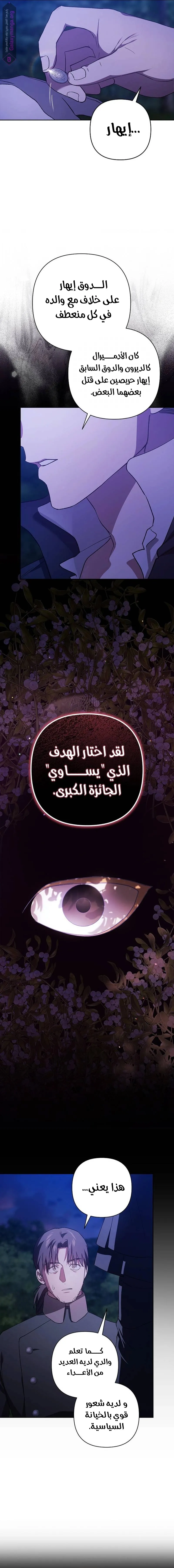 الصفحة 17