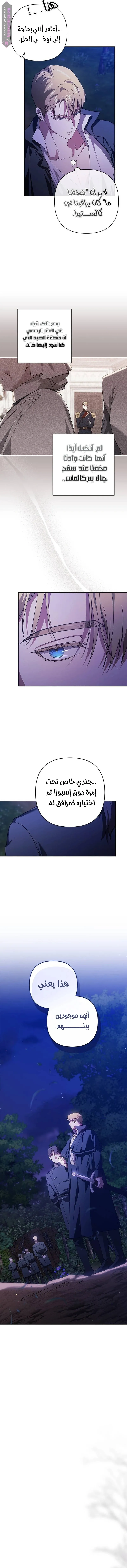 الصفحة 19