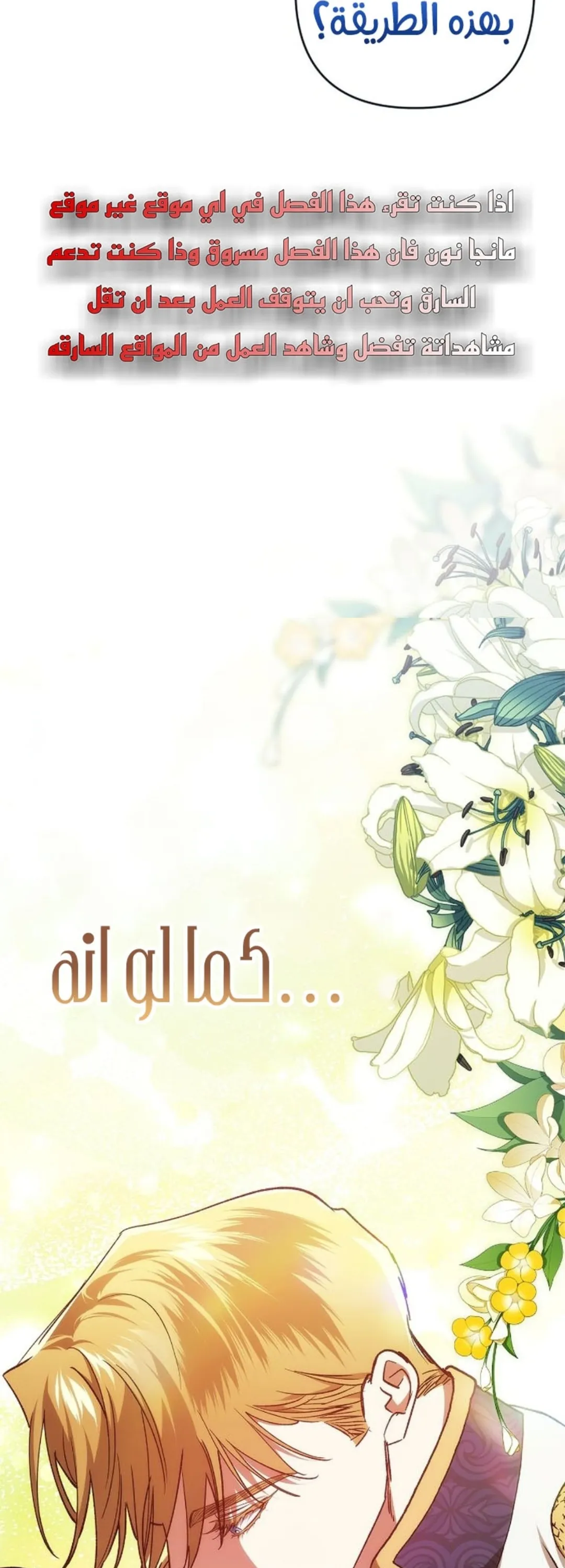 الصفحة 20