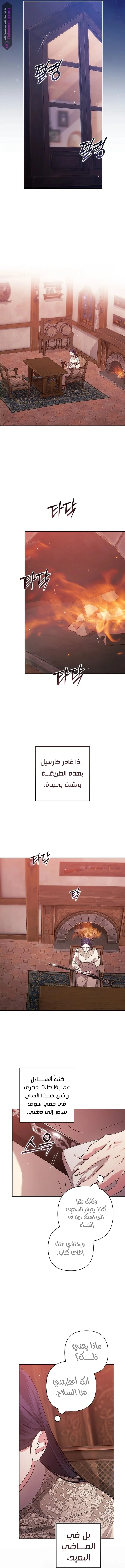 الصفحة 13