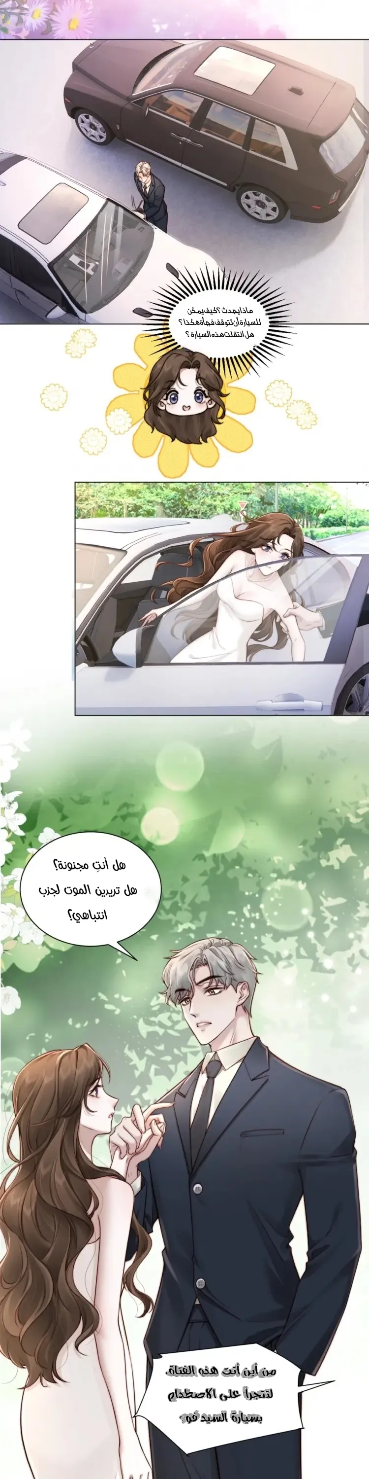 الصفحة 8