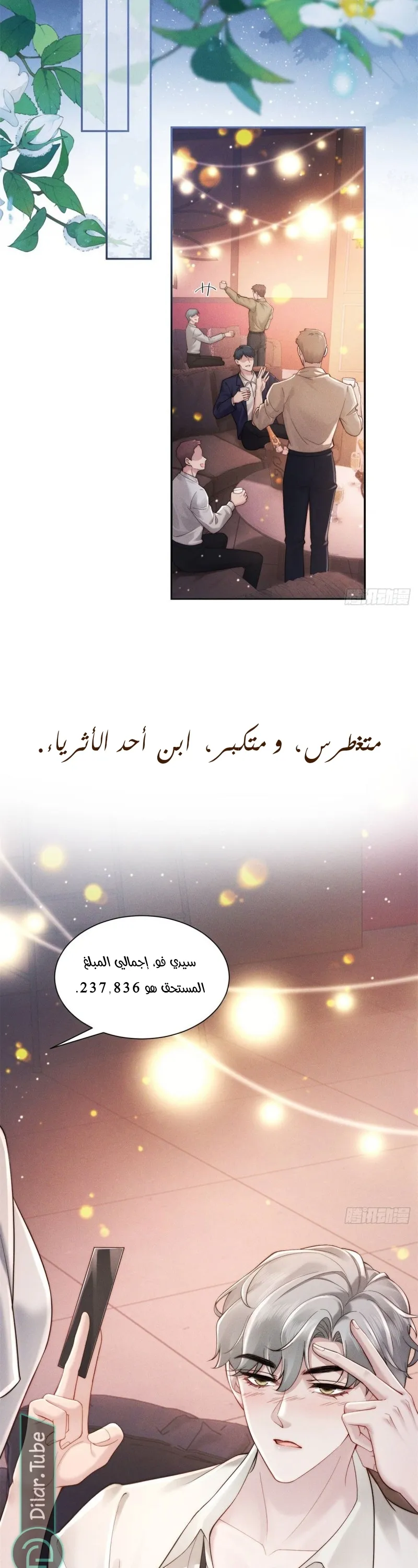 الصفحة 13