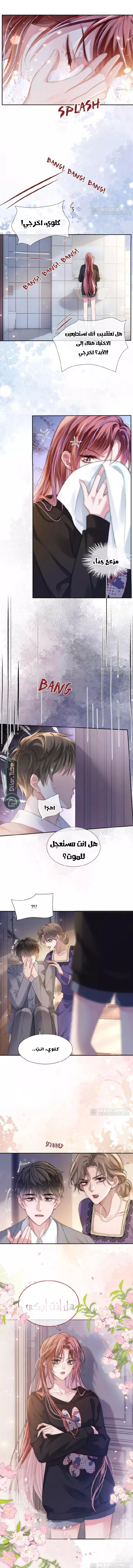 الصفحة 5
