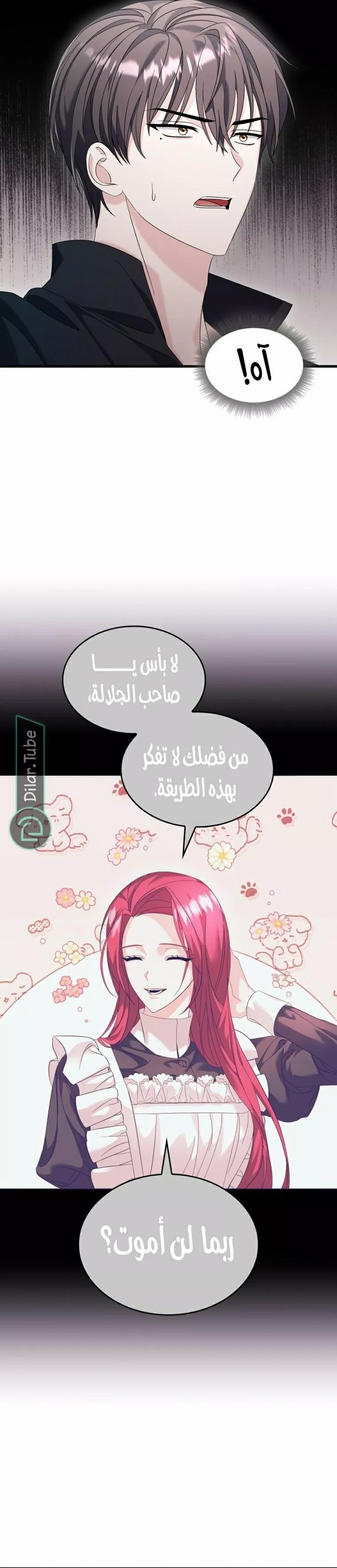 الصفحة 28
