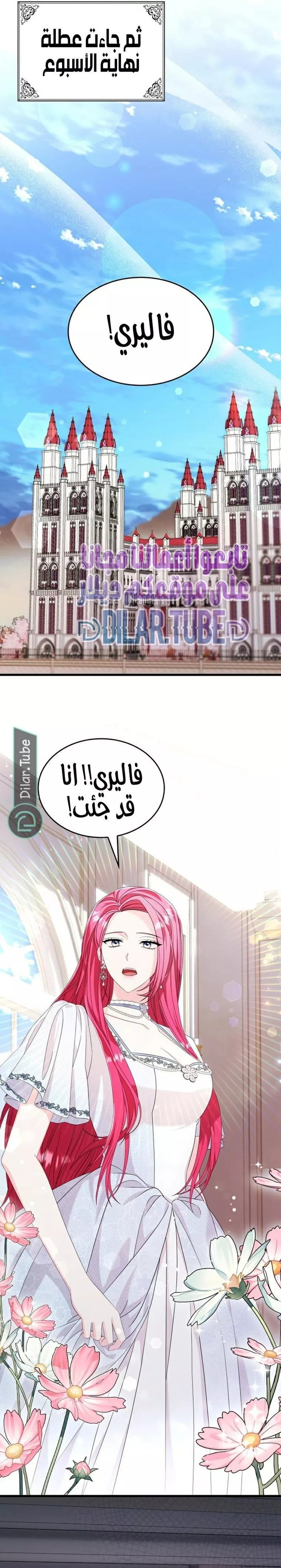 الصفحة 31