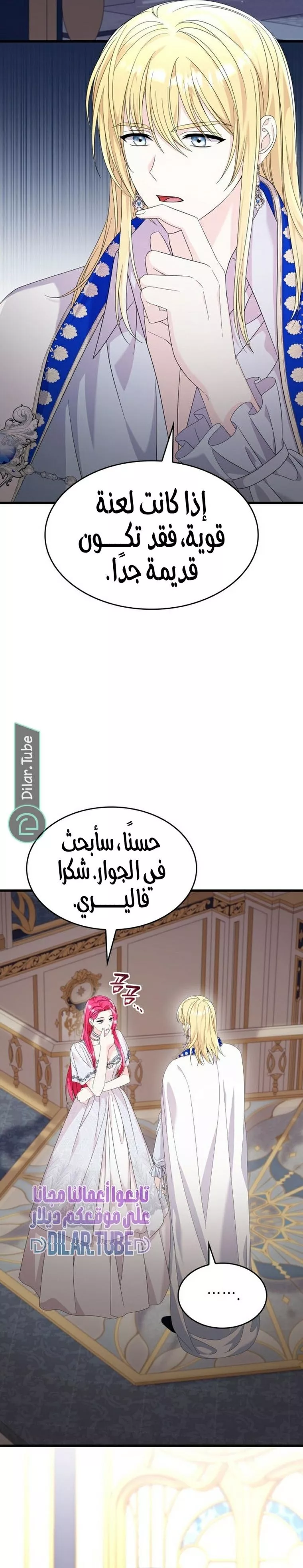 الصفحة 13