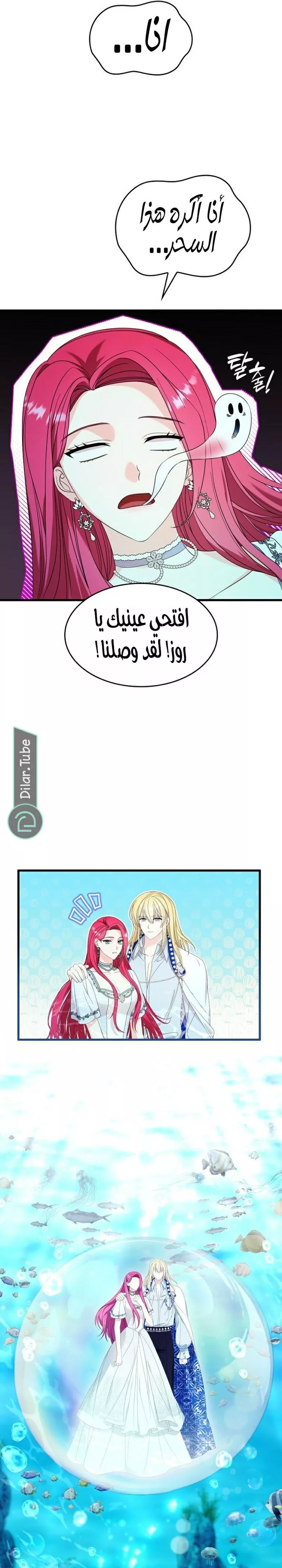 الصفحة 20
