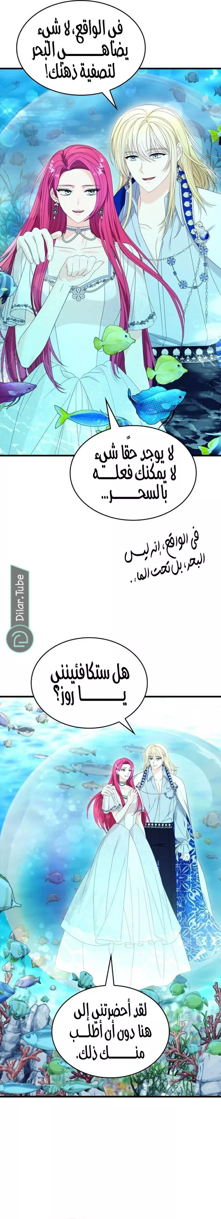 الصفحة 22