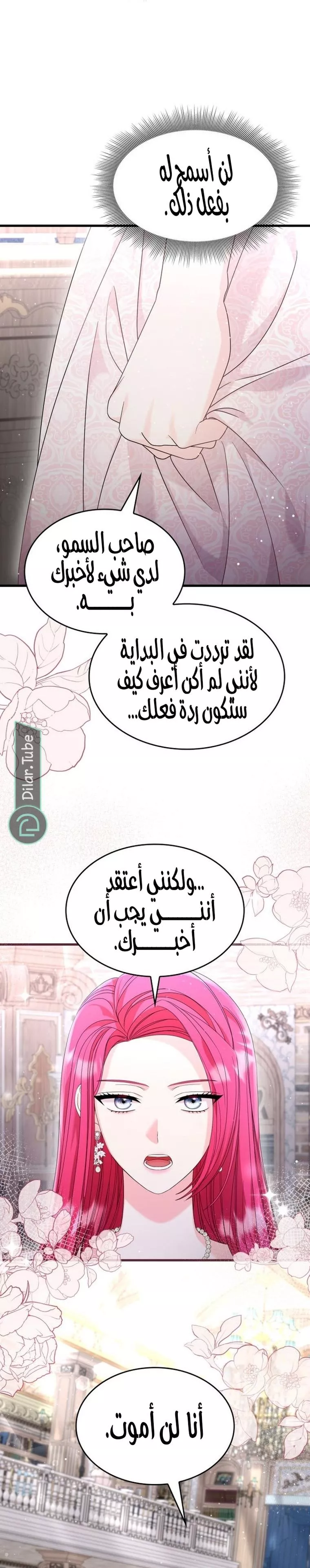 الصفحة 17