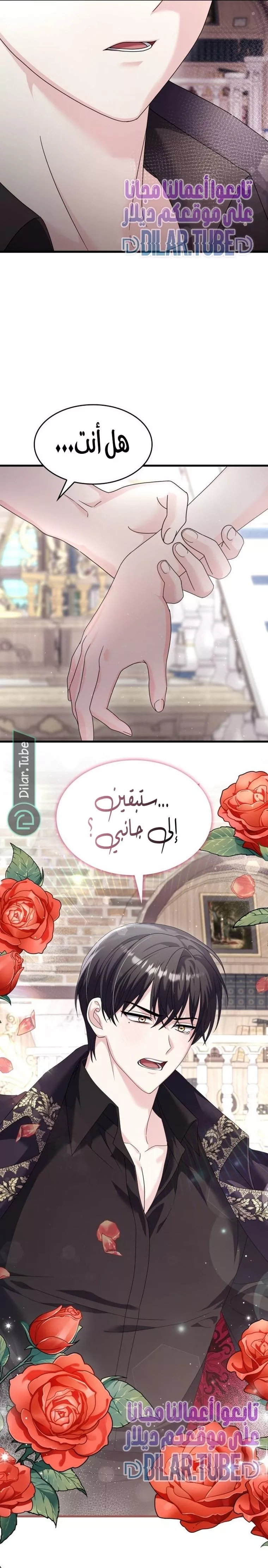 الصفحة 22
