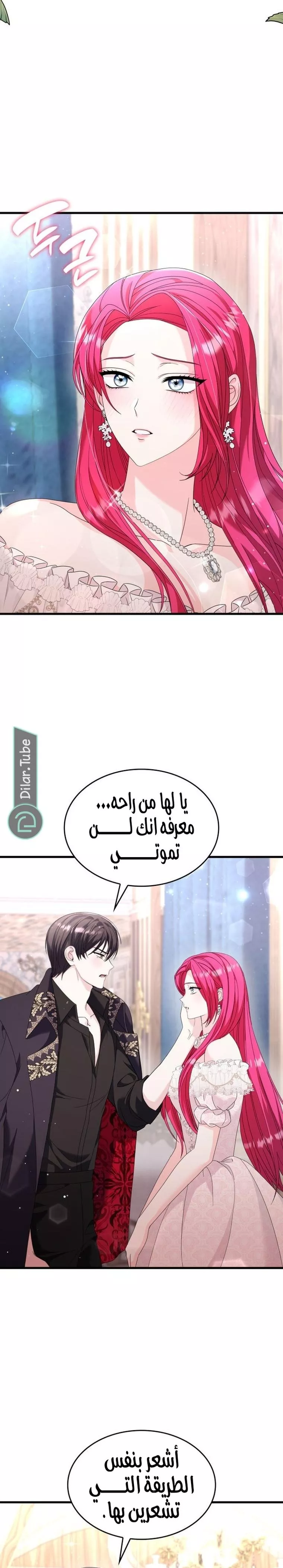 الصفحة 23