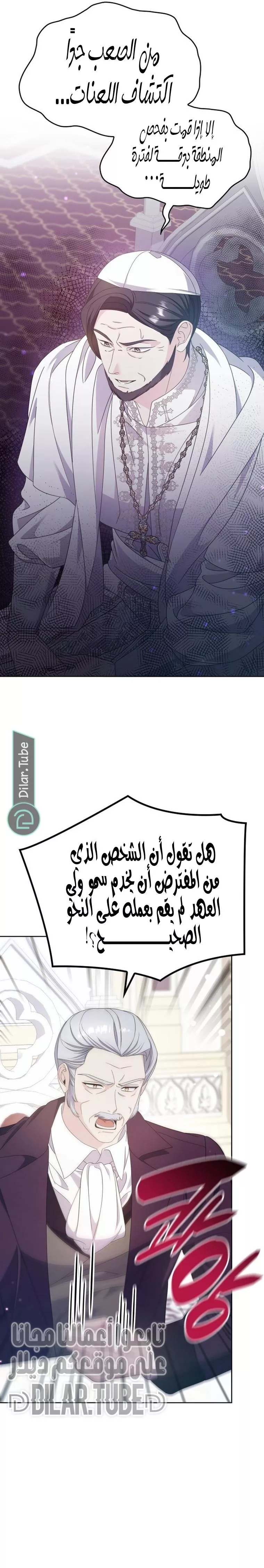 الصفحة 29