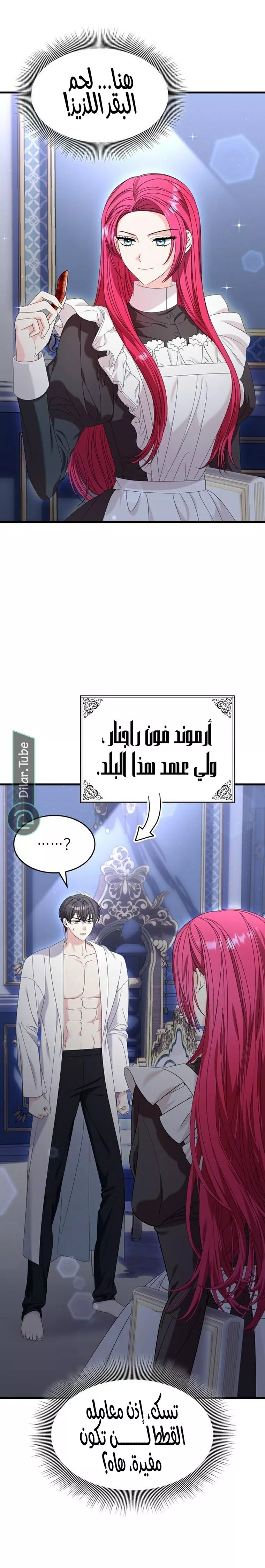 الصفحة 20