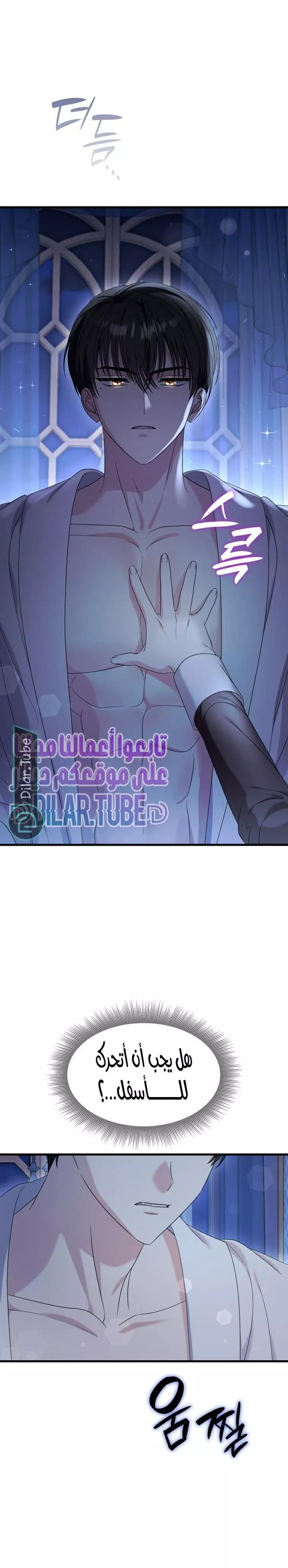 الصفحة 27