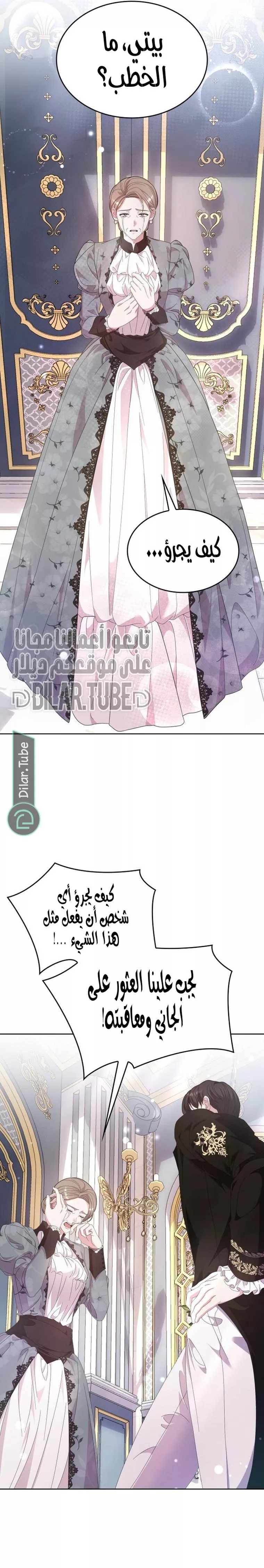الصفحة 17
