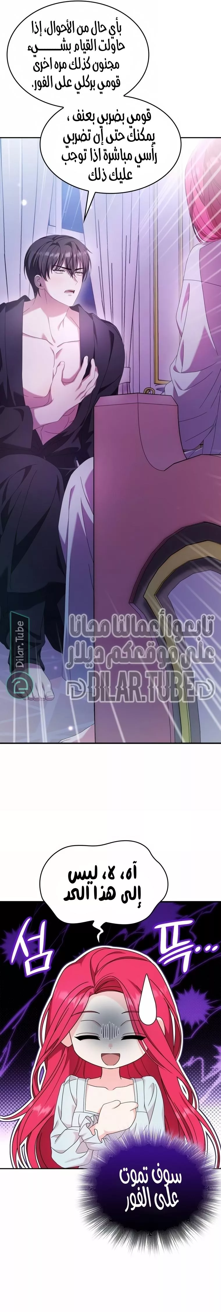 الصفحة 13