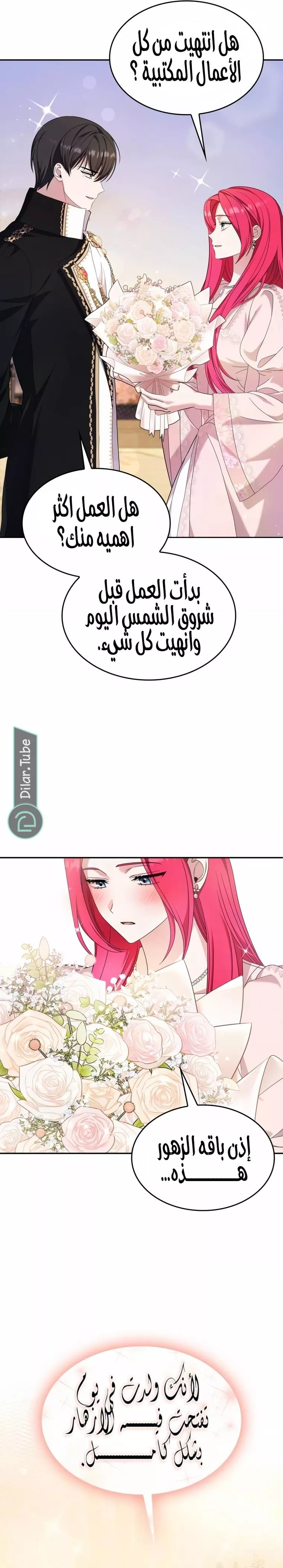 الصفحة 17