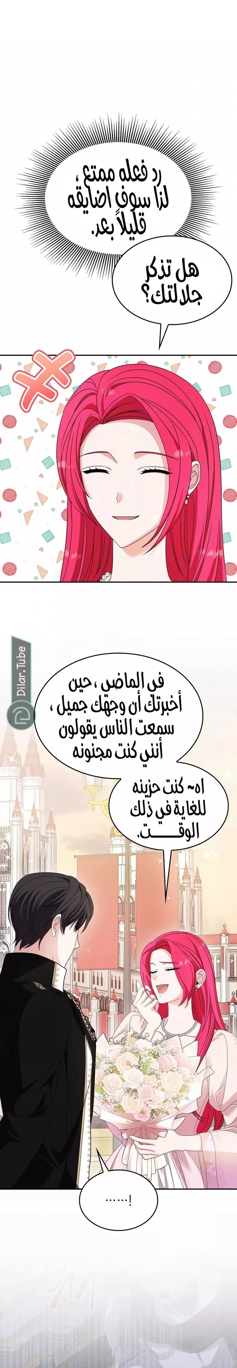 الصفحة 21