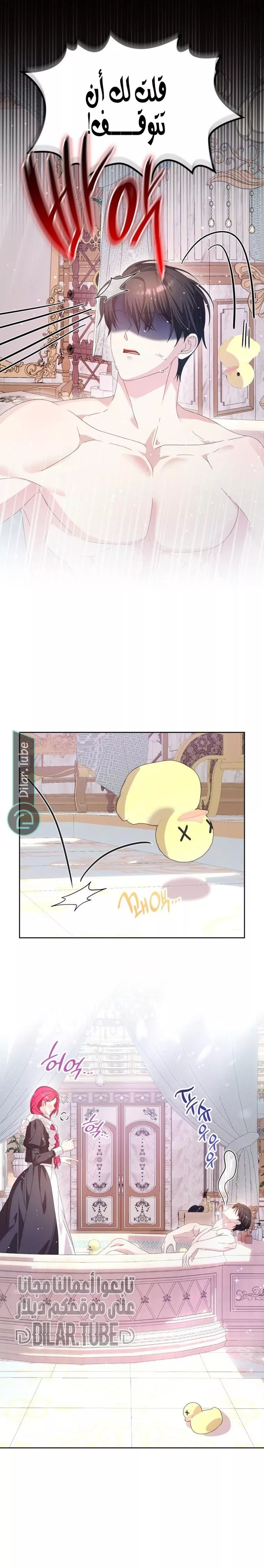 الصفحة 27