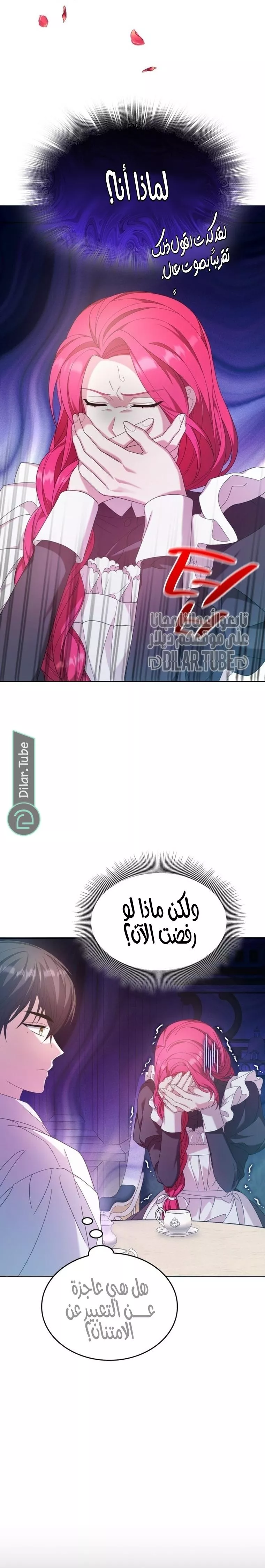 الصفحة 14
