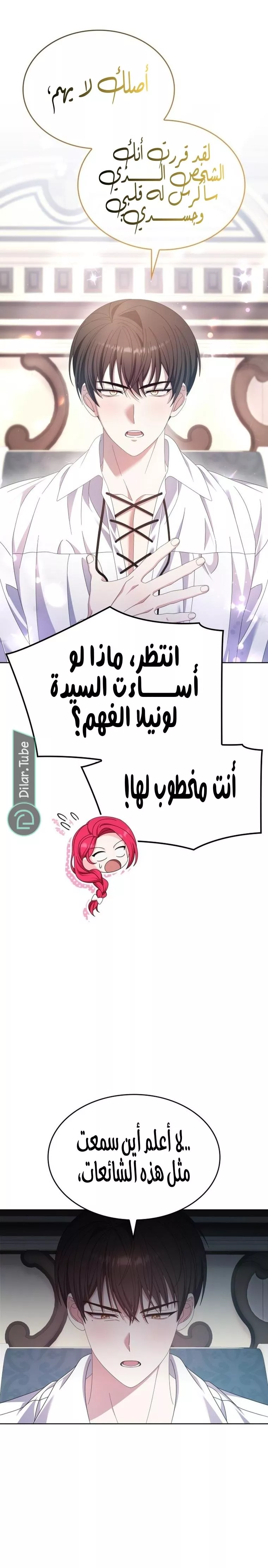 الصفحة 17