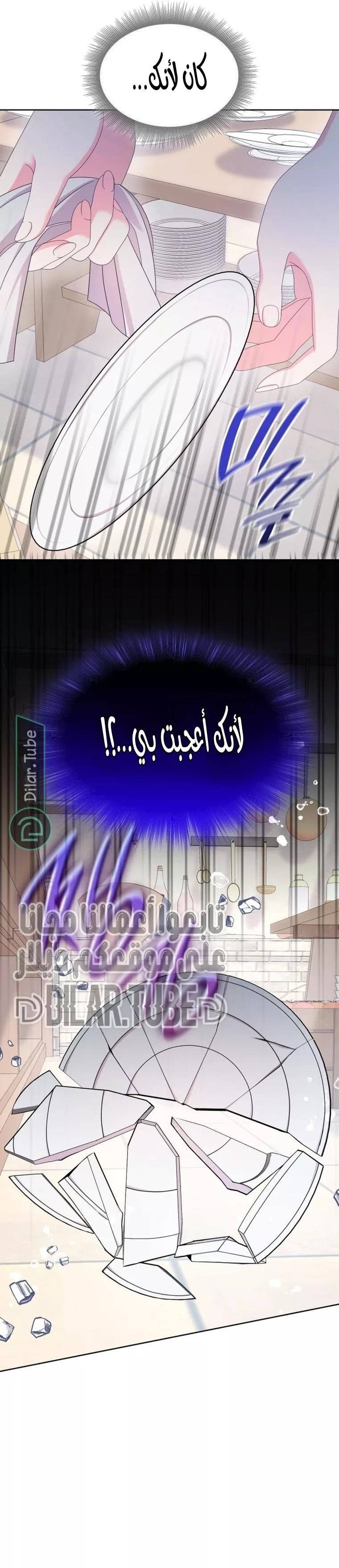 الصفحة 21