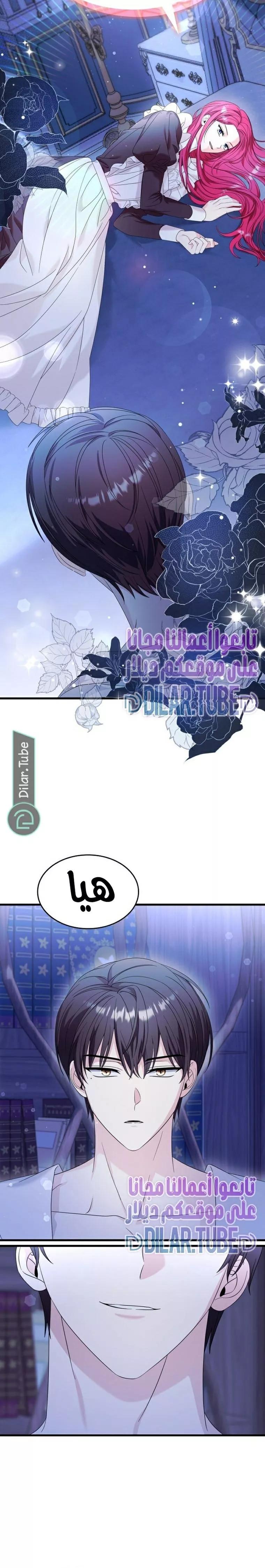 الصفحة 12