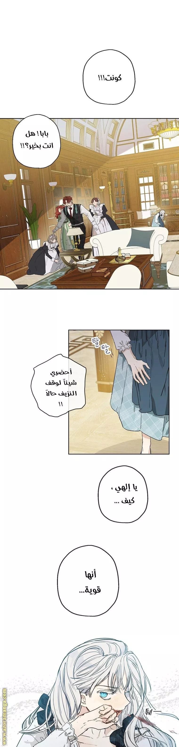 الصفحة 17
