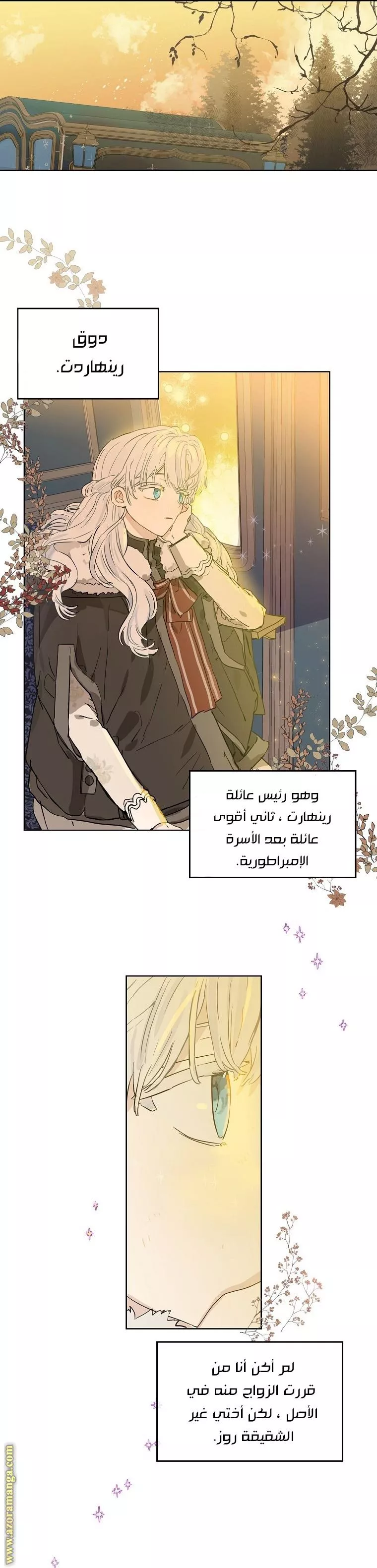 الصفحة 19