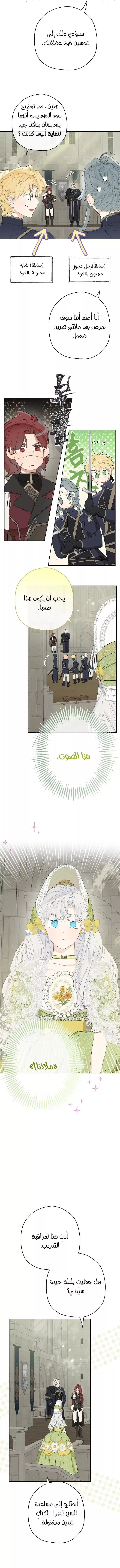 الصفحة 3