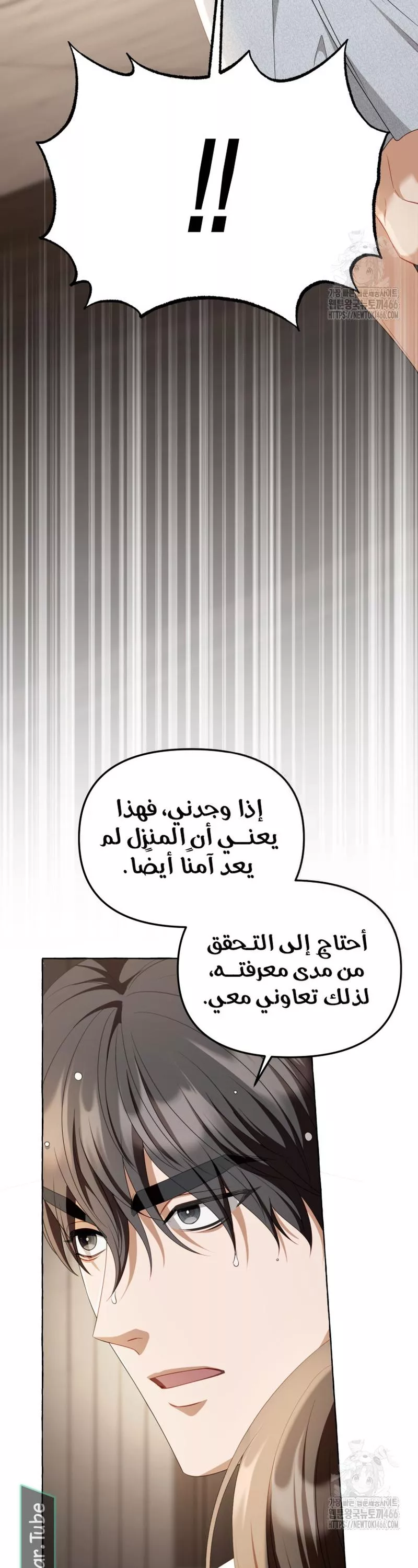 الصفحة 13