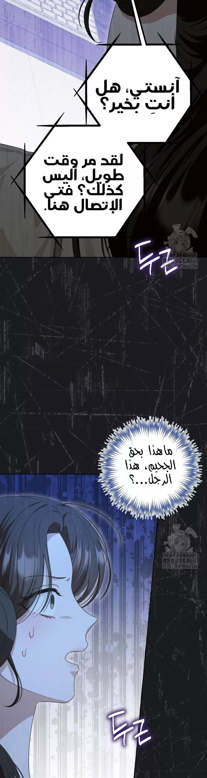 الصفحة 41
