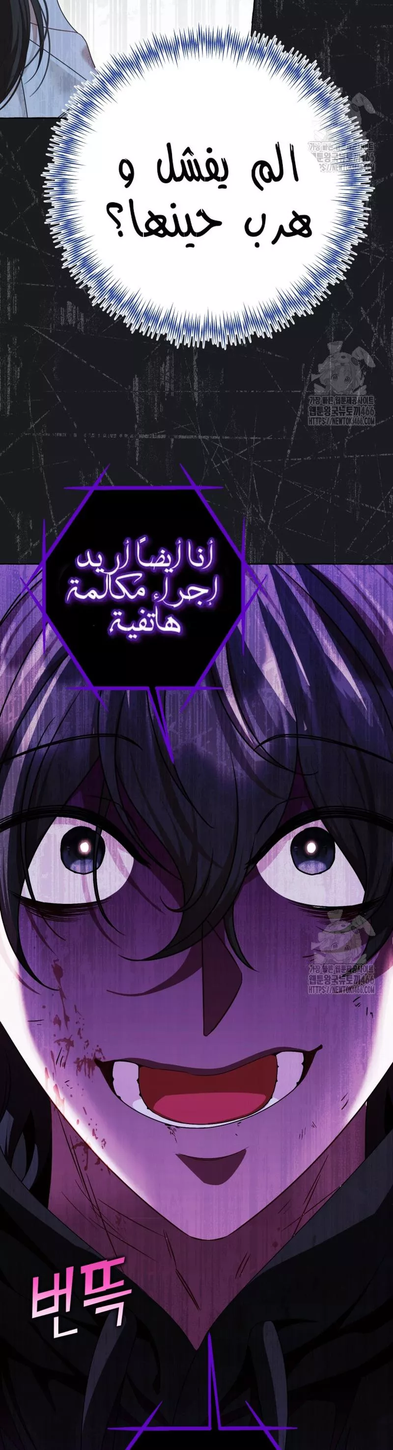 الصفحة 42