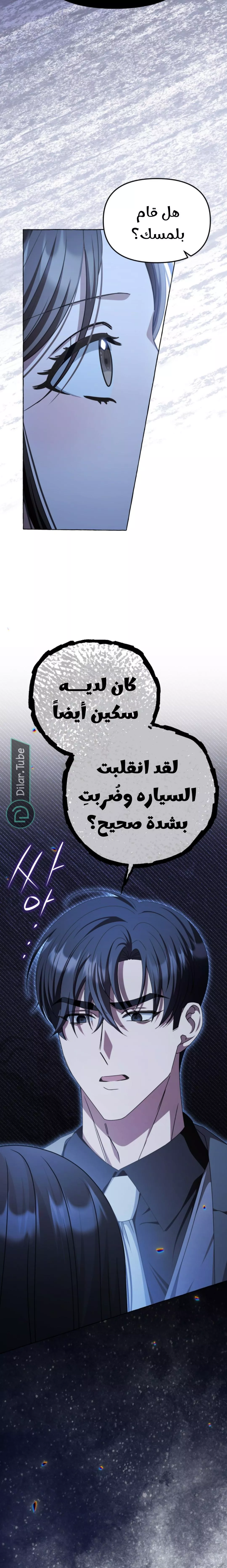 الصفحة 27