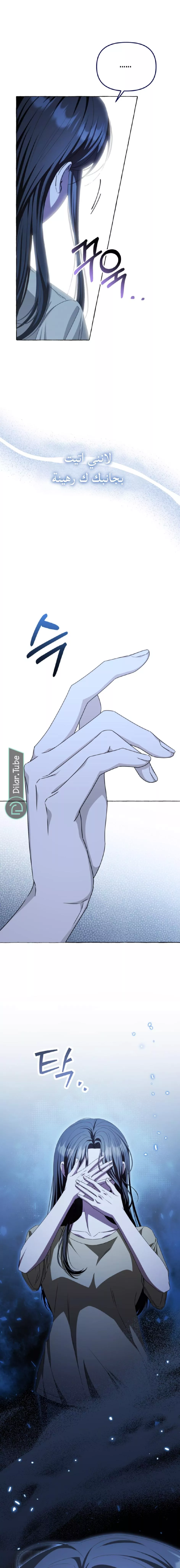 الصفحة 29