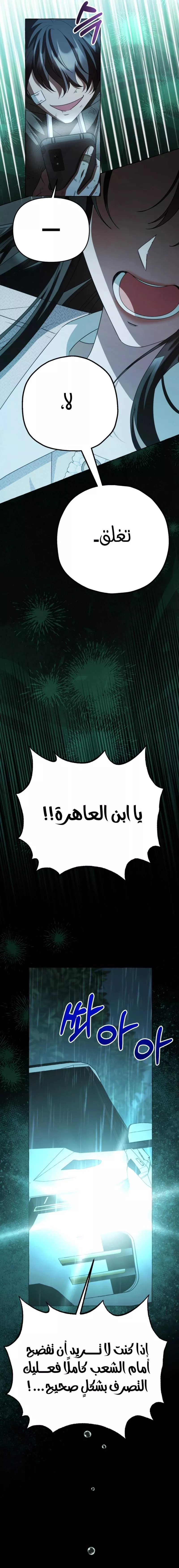 الصفحة 19