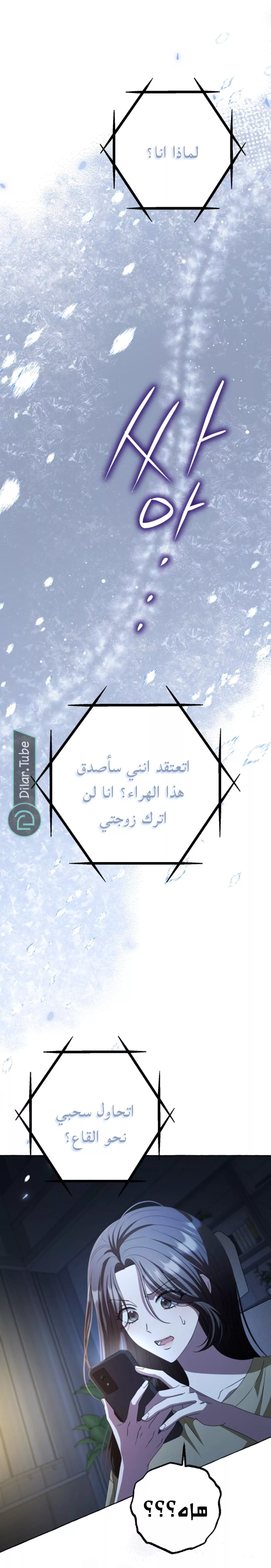 الصفحة 17