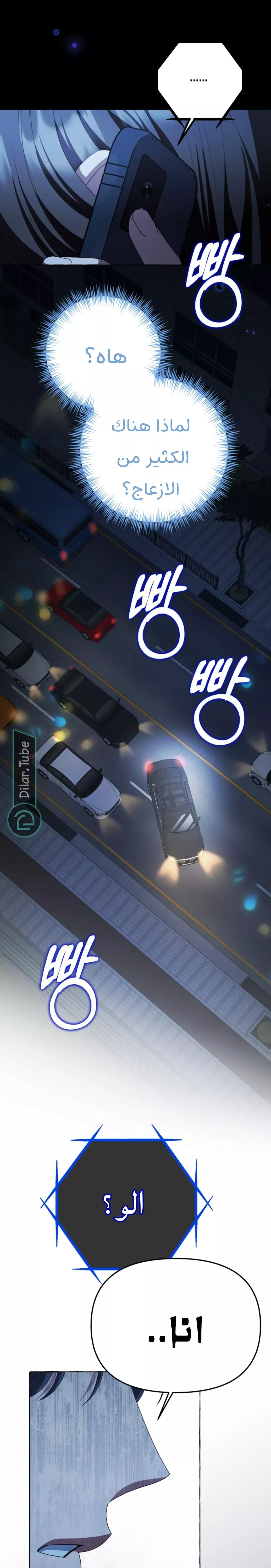 الصفحة 29