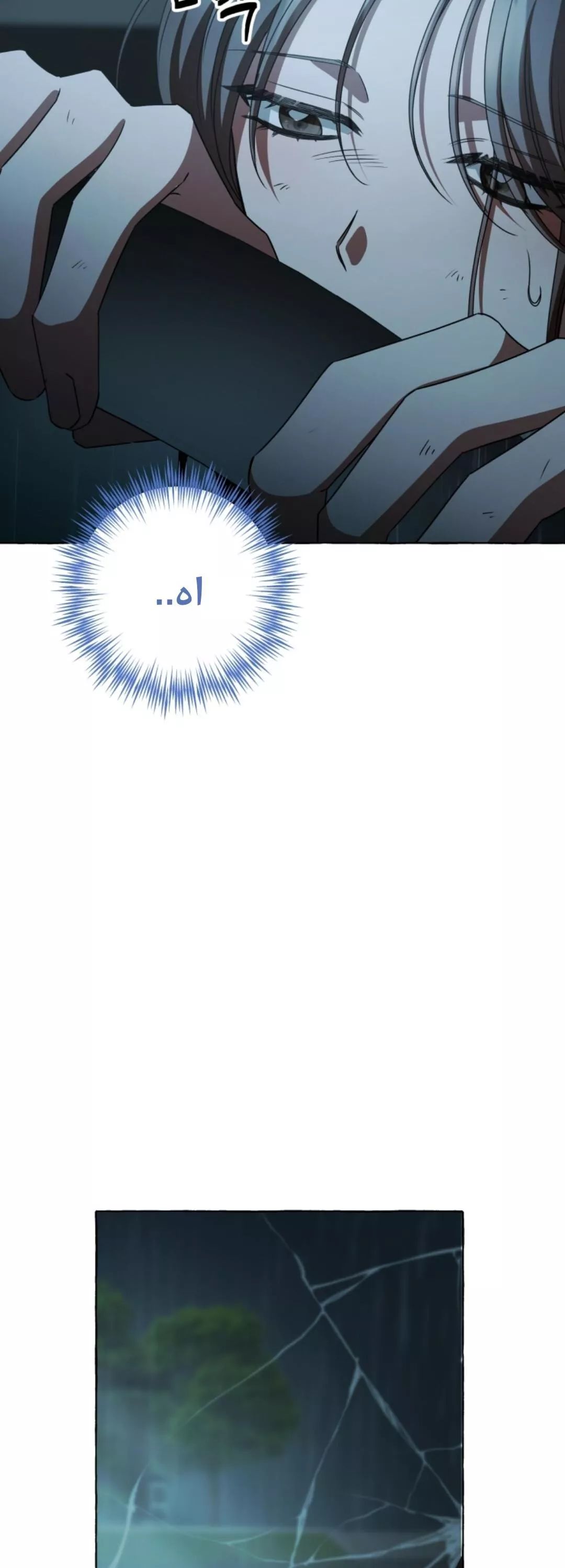 الصفحة 31