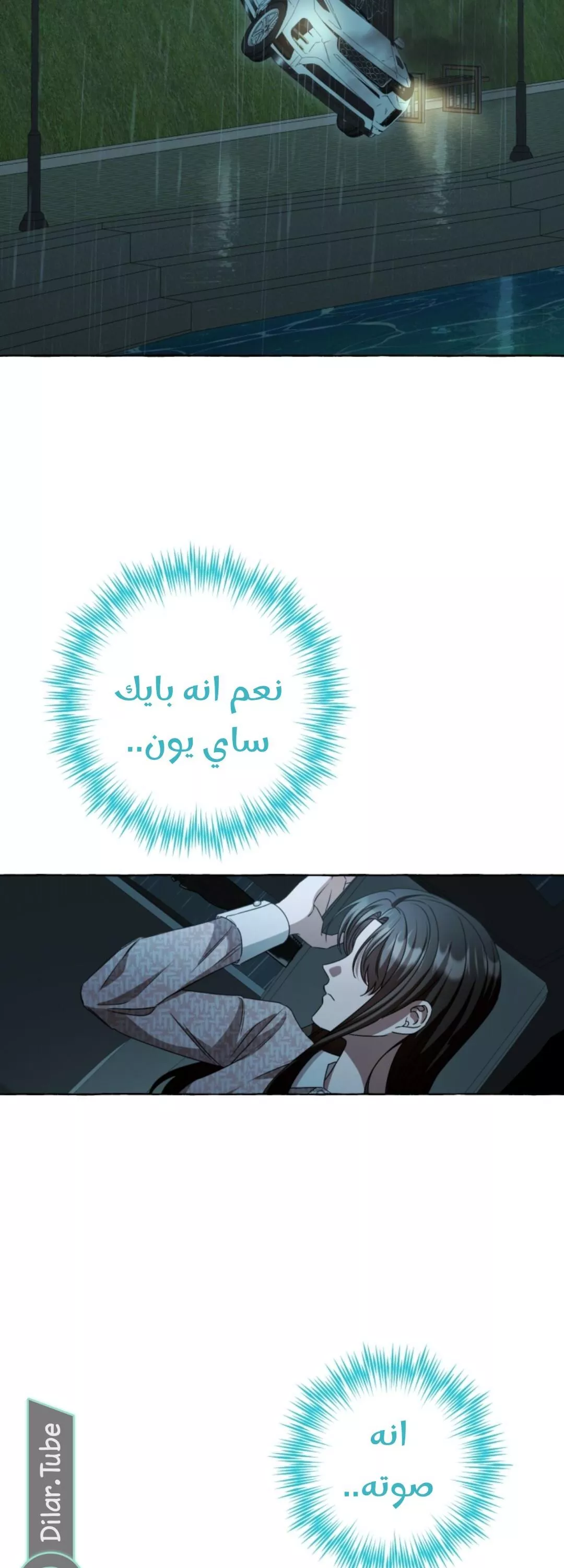 الصفحة 41