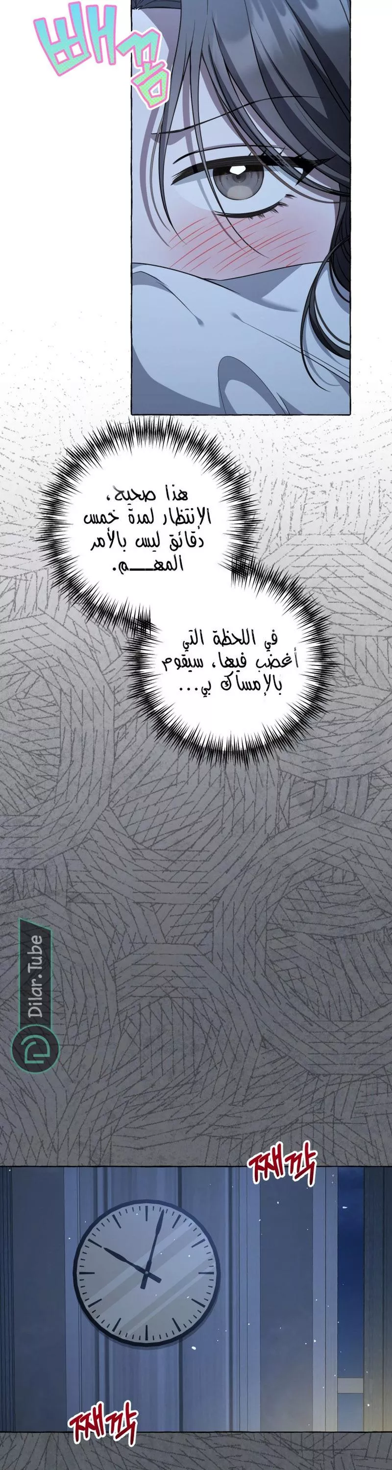 الصفحة 17