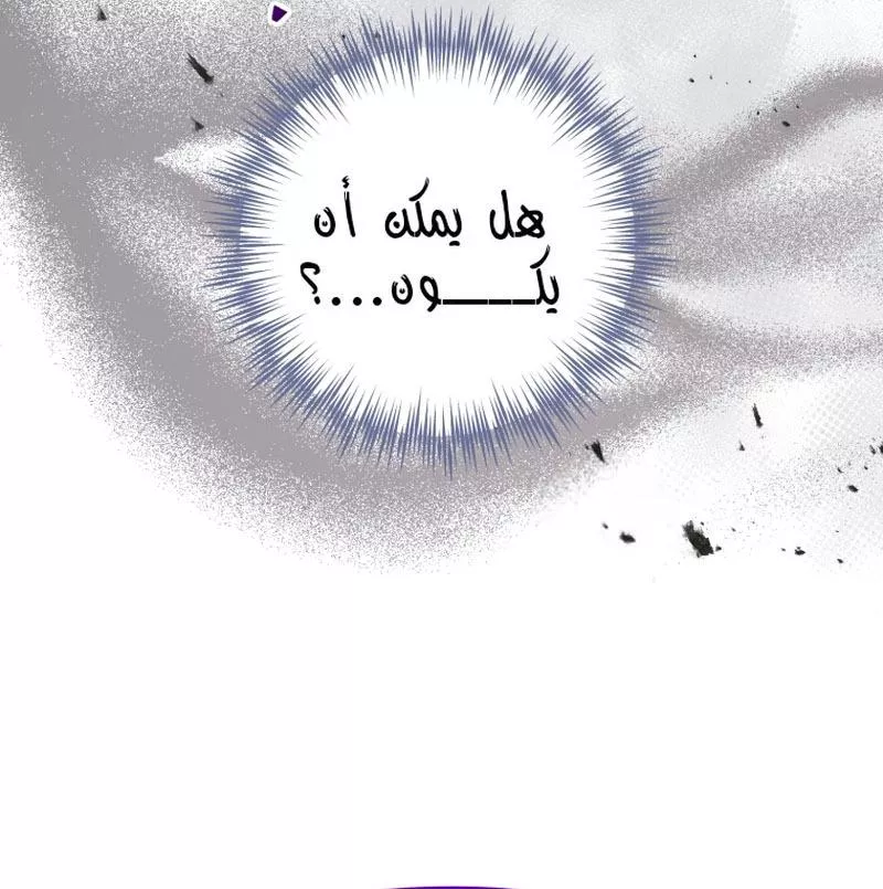 الصفحة 41