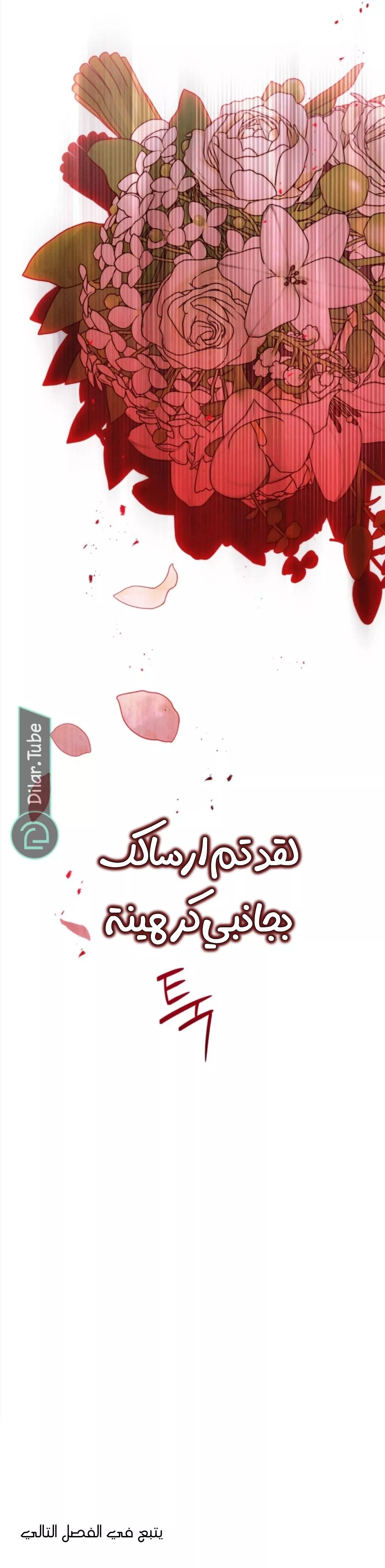 الصفحة 24