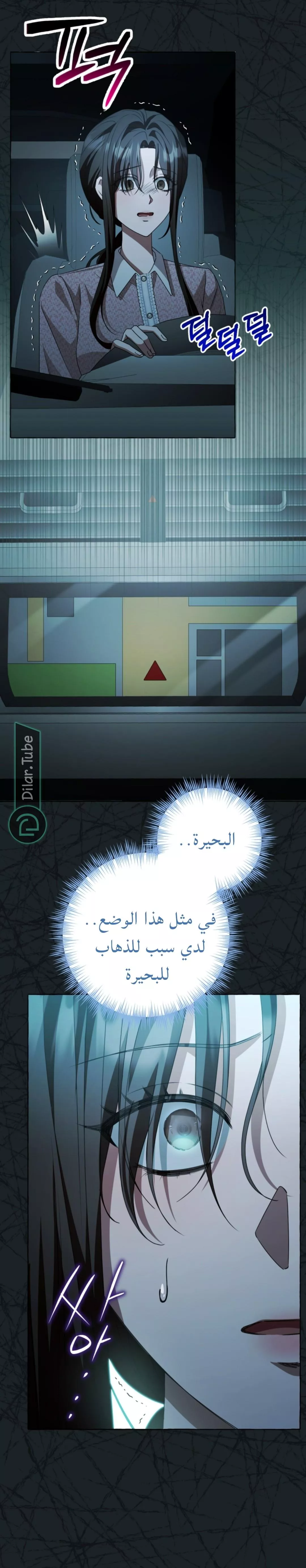 الصفحة 13