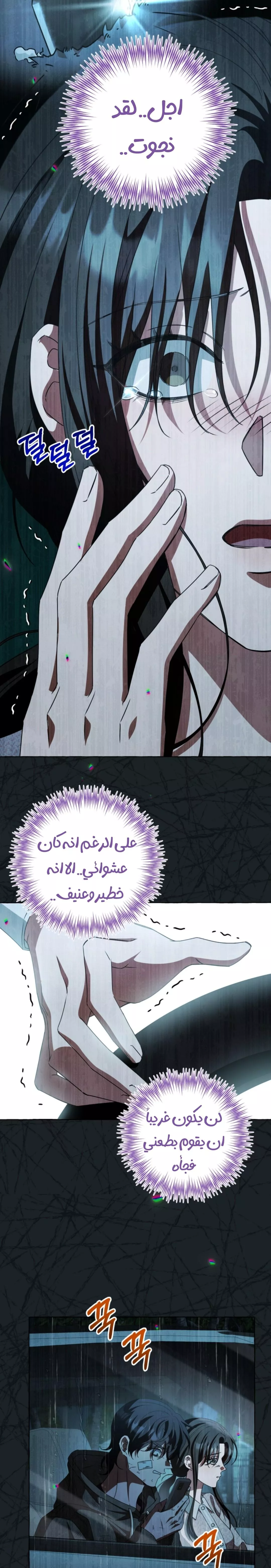 الصفحة 17