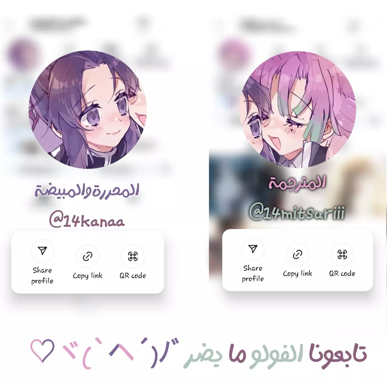 الصفحة 25